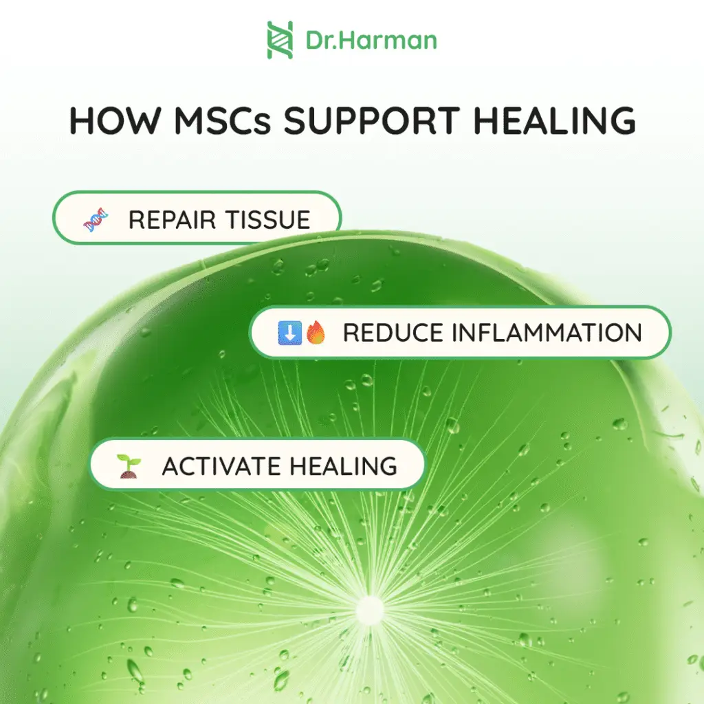 Non-Surgical MSC Stem Cell Therapy In Kuala Lumpur, Malaysia By Dr Harman